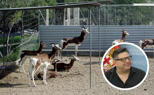 Cultura tomará medidas para que los conciertos del Cooltural Go! no estresen a los animales de la reserva