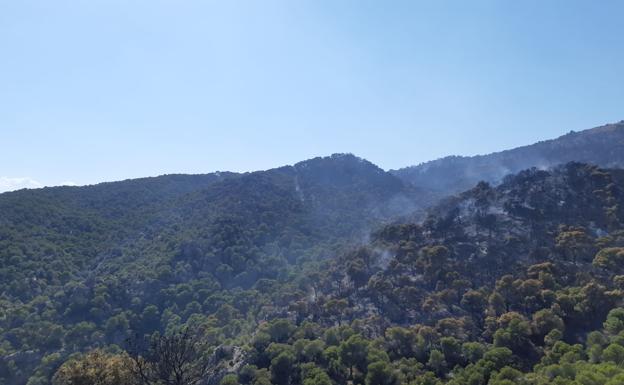 «Es más costoso el despliegue de medios para apagar un incendio que prevenirlo»