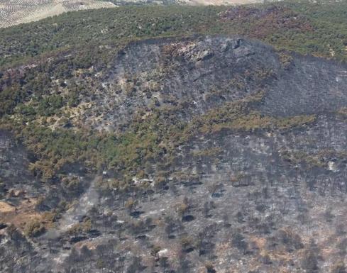 El Infoca calcula que se han quemado 150 hectáreas en el incendio de Quesada