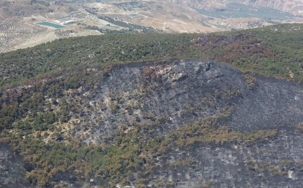 El incendio de Quesada permanece estabilizado tras calcinar unas 150 hectáreas forestales