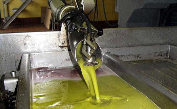 La UE producirá un 20% más de aceite este año por el auge de España y el mundo menos