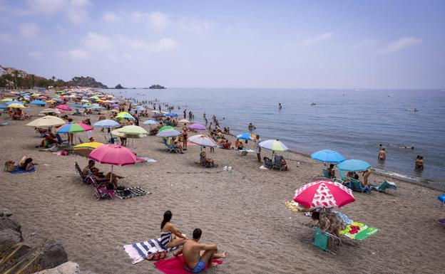 Una app permitirá a los bañistas saber la situación de las playas en tiempo real