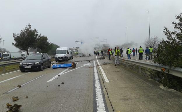 Los olivareros jienenses se manifestarán frente al Puerto de Algeciras