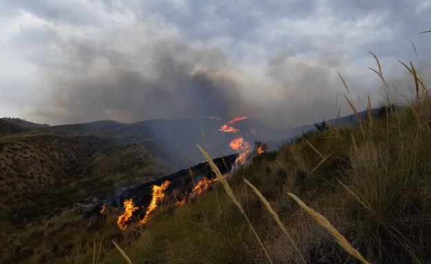 Extinguido el incendio declarado ayer en zona forestal de Freila