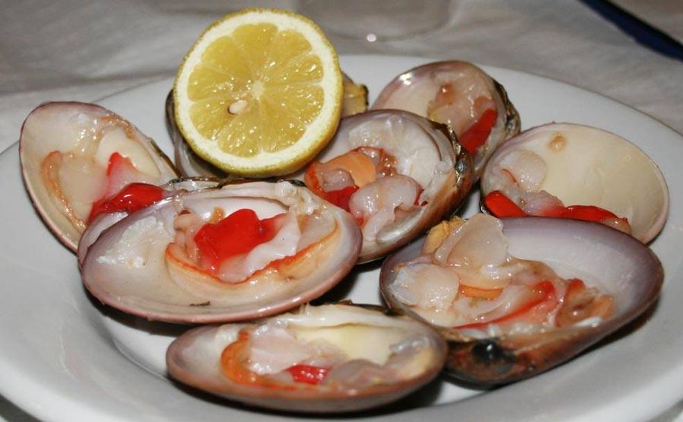 Conchas finas o malagueñas