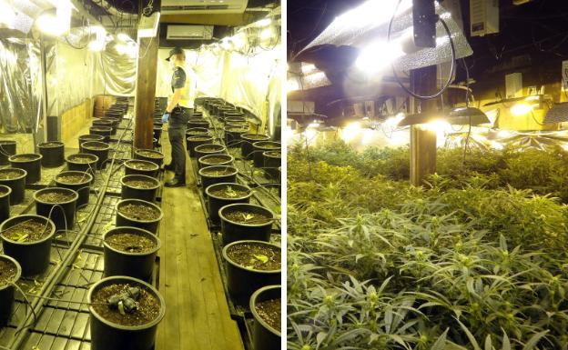 Utilizaba un cortijo de Gérgal para plantar marihuana enganchado a la red general de electricidad