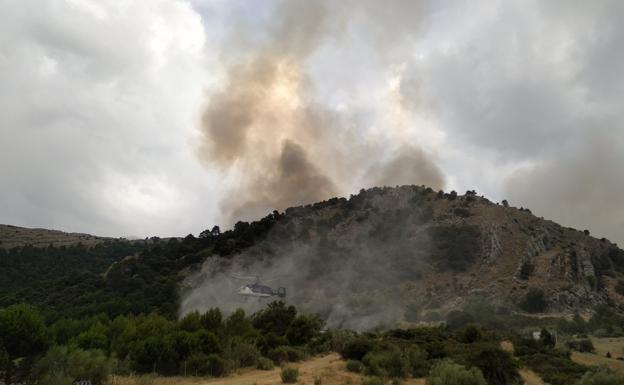 Unanimidad para que se restaure la zona afectada por el incendio de Quesada