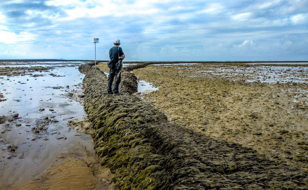La bajamar descubre sus secretos