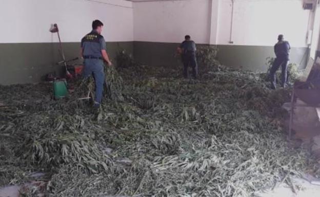 La Guardia Civil vigila desde el aire en Granada las plantaciones de marihuana y ejecuta 31 operaciones en julio