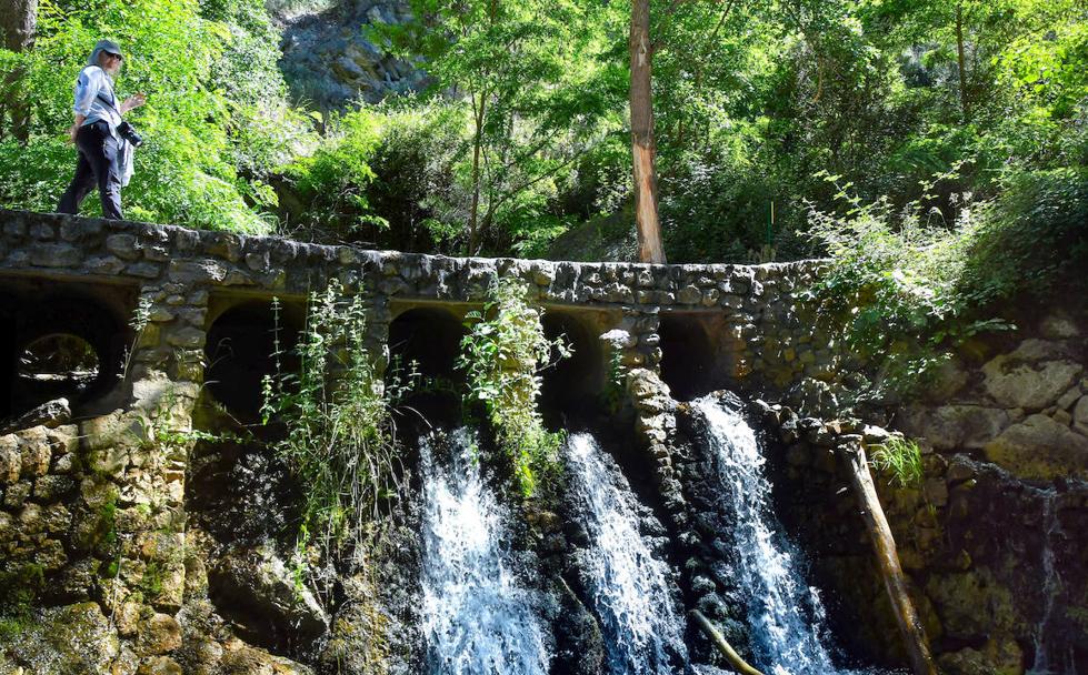 Las alisedas del último paraíso del Rey Chico