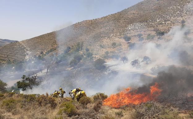 Un joven de 20 admite haber prendido fuego al pasto que acabó en un incendio en Güéjar Sierra