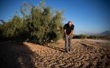 Jesús, con el azadón, en su explotación olivarera situada en Láchar./JORGE PASTOR
