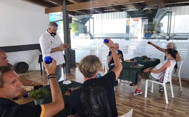 El oleoturismo pasa de planificar «la temporada del siglo» al frenazo y la readaptación tras la Covid