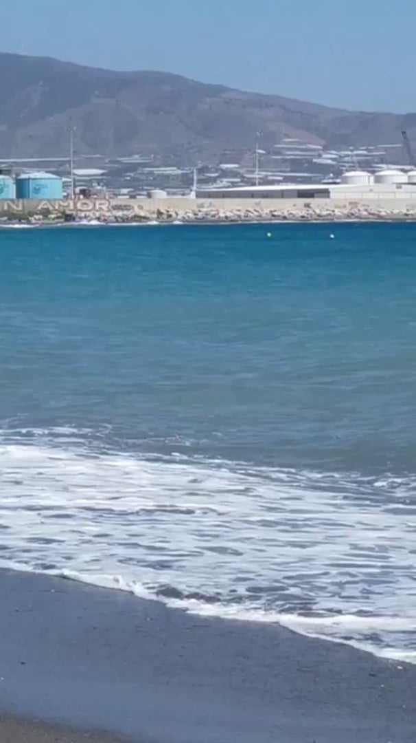 Una familia de delfines se dejan ver cerca de Playa Granada