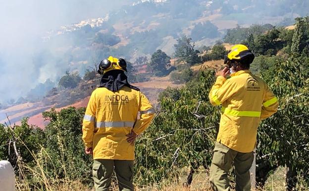 Extinguido tras casi una semana el fuego de Bubión, que ha afectado a 28 hectáreas