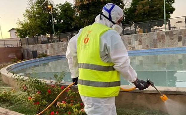 Andalucía llevará a cabo una fumigación masiva para acabar con el mosquito transmisor del virus del Nilo