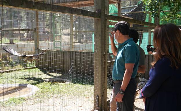 Más cerca para admirar al quebrantahuesos, rey de los cielos de Jaén
