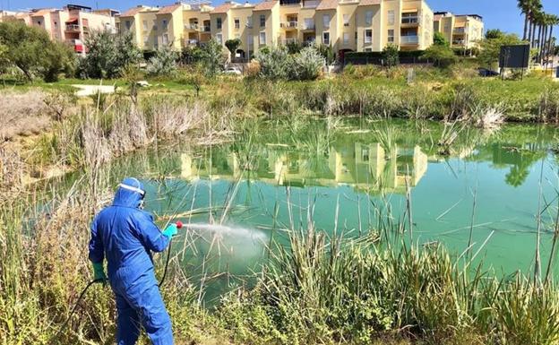 El virus del Nilo se cobra ya dos víctimas en Andalucía