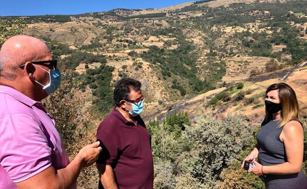 El PSOE exige a la Junta que recupere zona de la Alpujarra afectada por el incendio