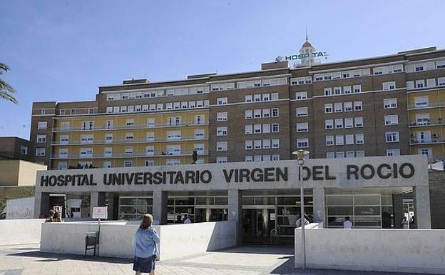 Andalucía suma su tercera víctima por el virus del Nilo