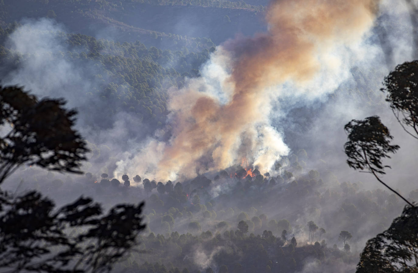 Así están siendo los trabajos para sofocar el incendio forestal declarado en el municipio onubense de Almonaster la Real