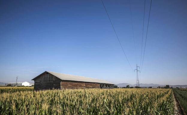 Cúllar Vega ayudará a conservar los secaderos tabaco, algunos centenarios