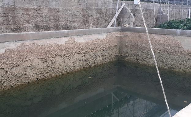 La agricultura intensiva de Adra y Níjar pide agua 'a gritos' para poder sobrevivir