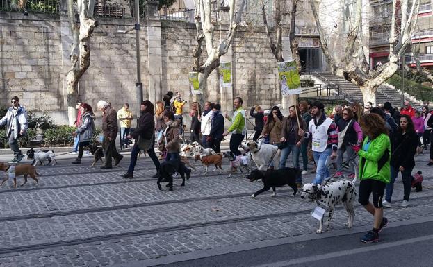 Marcha anterior para concienciar a favor de la adopción de animales. /JOSÉ MARÍA COBO