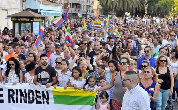 «Enfado» de la Plataforma TAUPL por el «trato» de la Junta a Linares