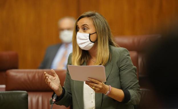 El PP urge al Gobierno obras en el AVE a Almería tras retomarlas el actual ejecutivo