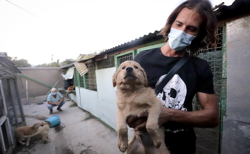 Salobreña, libre de sacrificio animal