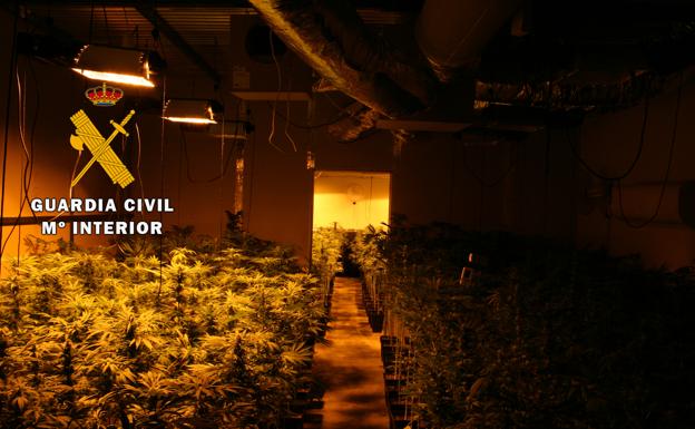 La Guardia Civil detiene a dos granadinos que cultivaban marihuana en Mancha Real