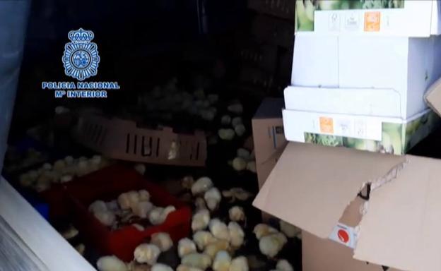 Alojamiento gratis a cambio de hacerse cargo de un bar: la oferta de este pueblo de España