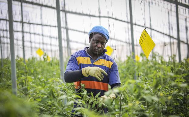 «Si se da un positivo, se aísla a toda la cuadrilla y se para la producción»