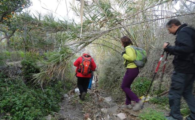 Santa Cruz, paseo entre naranjos