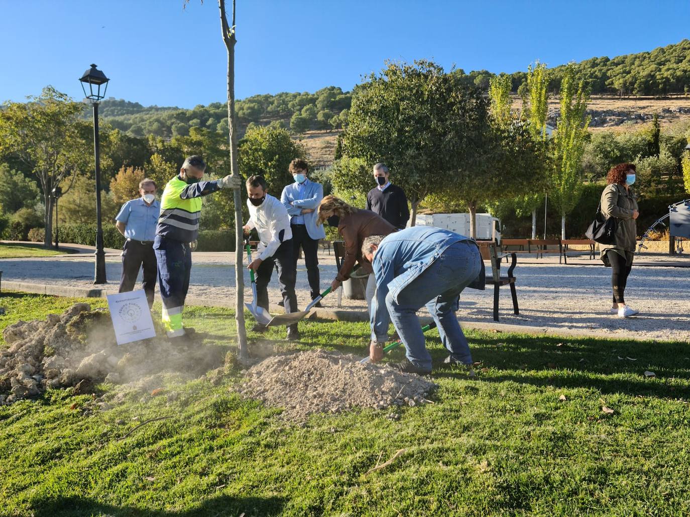 Una ciudad con 1.100 árboles más al final de 2021