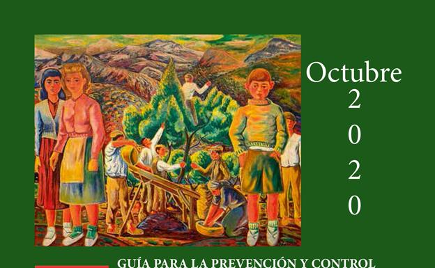 Quesada lanza una guía de seguridad para la aceituna