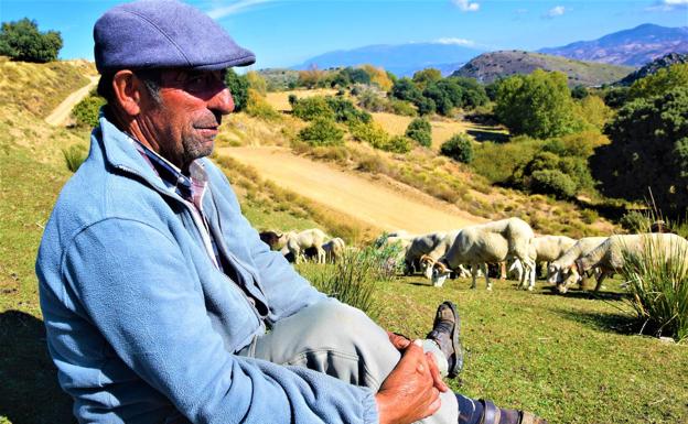 Las vivencias del pastor de 'Los Cerecillos' de Cástaras