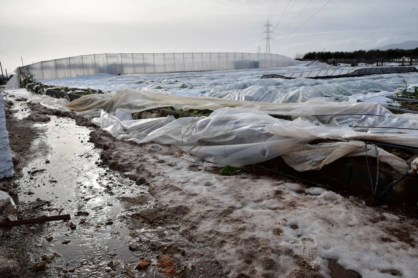 El Gobierno concede a Níjar una subvención de 1,1 millones de euros por los daños de la 'gota fría'