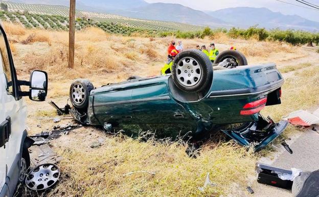 La borrasca Bárbara deja abundantes ramas y árboles caídos en la capital