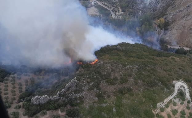 Extinguido de madrugada el incendio forestal en Castillo de Locubín