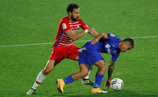 Nacidos para la lucha