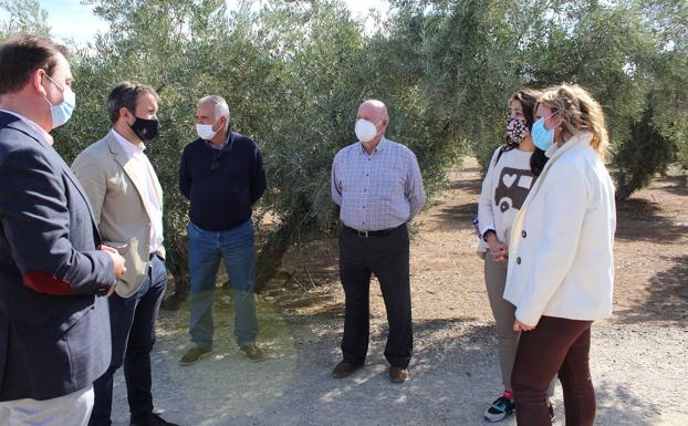 El camino Grañena a Fuerte del Rey, con 250 fincas agrícolas, será mejorado