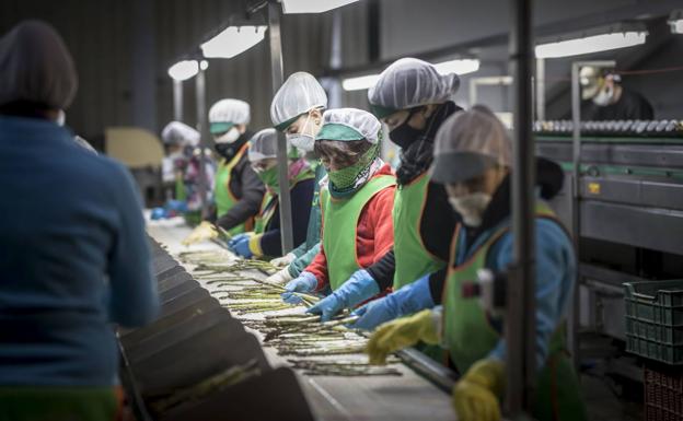 El parón del trabajo en el campo y el freno turístico lastran la recuperación en Almería tras la crisis de la Covid-19