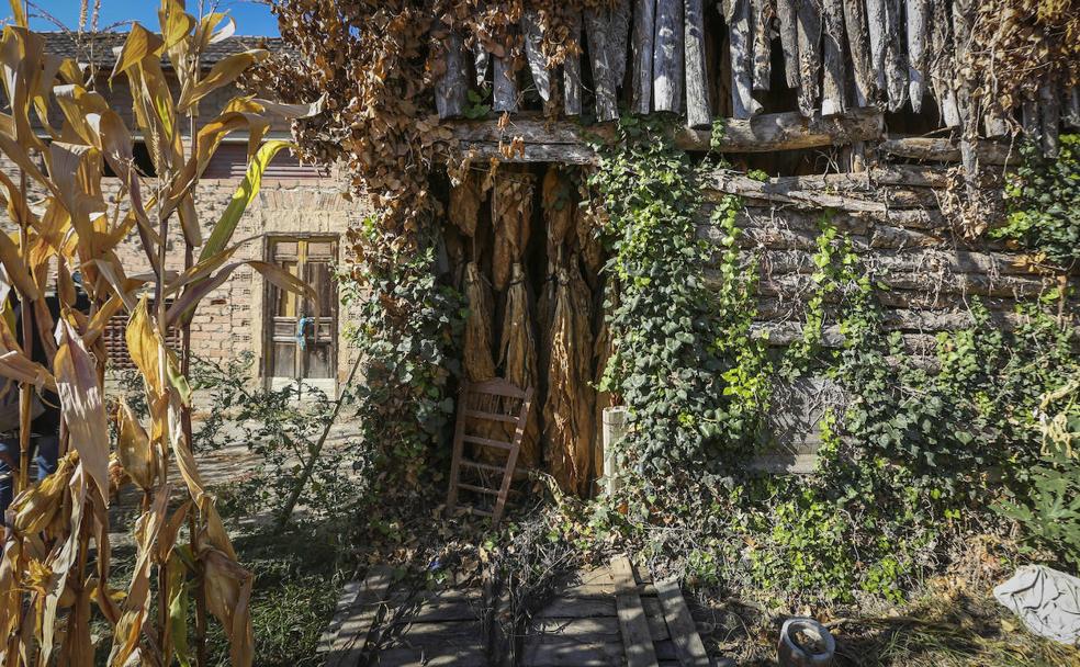 Un paisaje de vega y secaderos