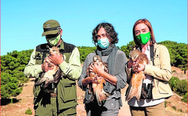 Liberan tres milanos reales en la Sierra de Cazorla