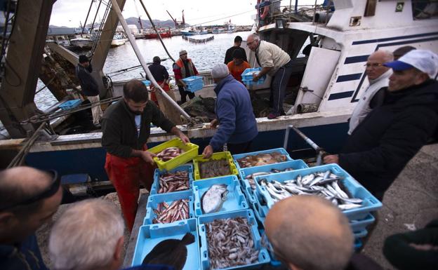 La flota de Motril teme que la reducción de días de pesca que quiere Europa sea la «ruina» del sector