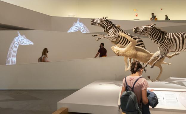 El Parque de Ciencias aprueba en el Consejo Rector su plan de actividades para 2021