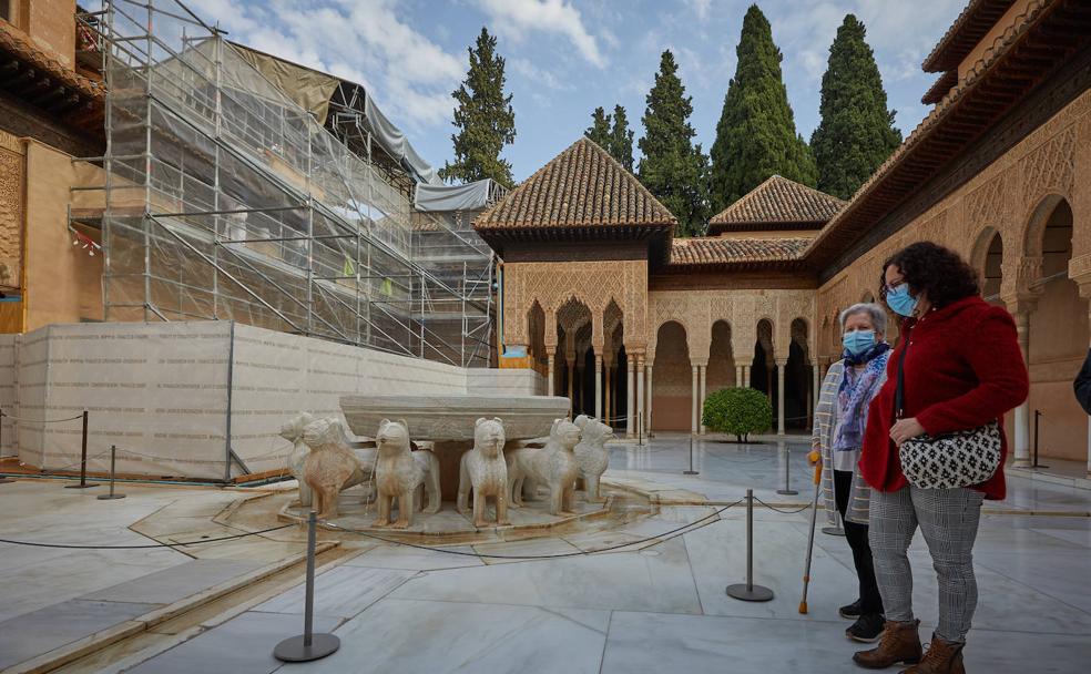 Un techo más seguro para los leones más bellos del mundo