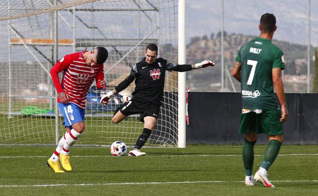 El Córdoba denuncia al Recreativo ante la Federación y la Junta